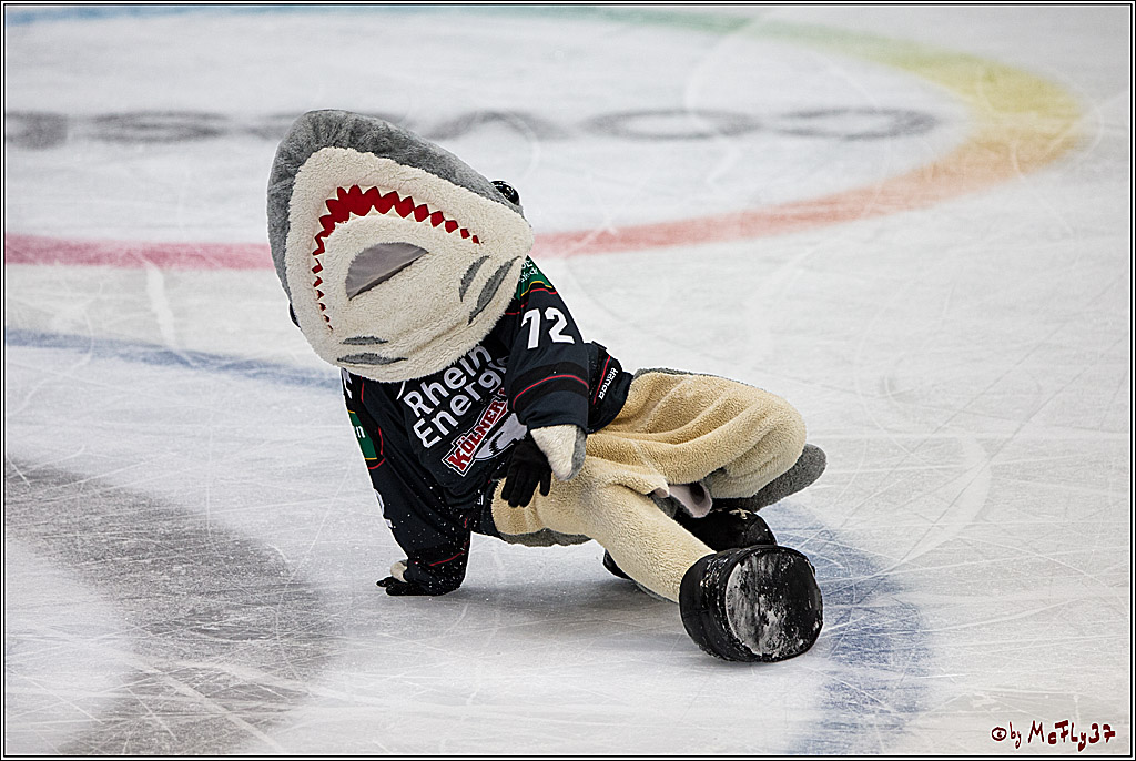 Koelner Haie - Adler Mannheim, 30.10.2016